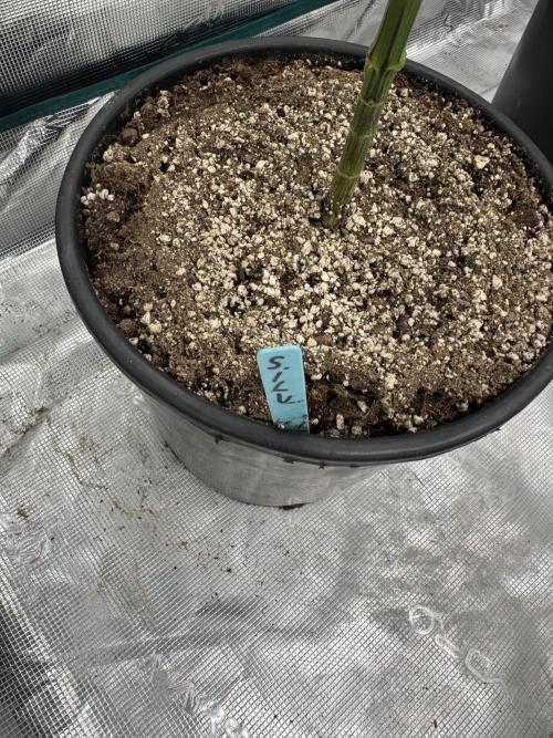 1st clone run 👯‍♀️✂️. Week 2