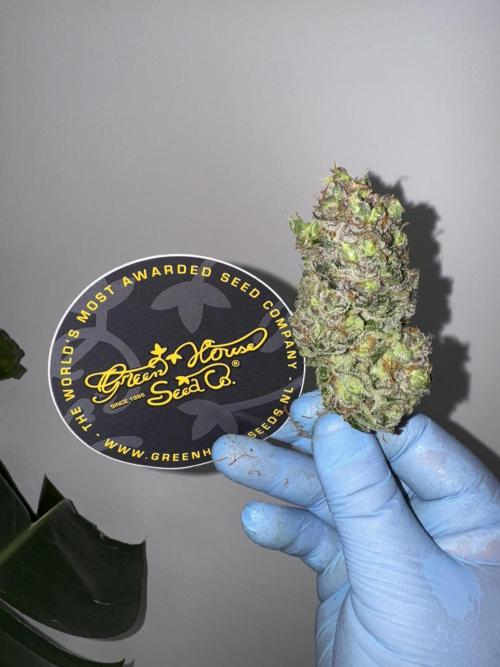Old School 😶‍🌫️. Week 17