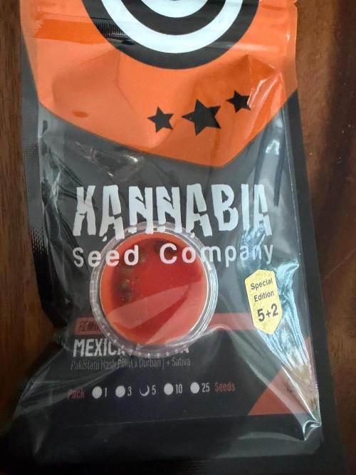 Tajìn 🌶️🇲🇽. Week 0