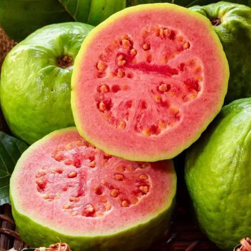 Pure Guava. Week 0