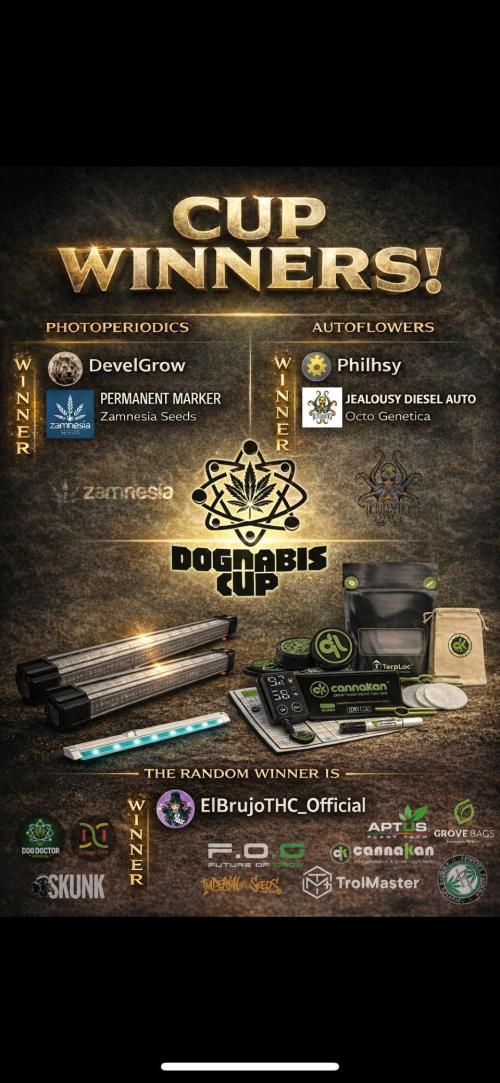 🏆 Dognabis #811A Jealousy Diesel Auto. Week 10