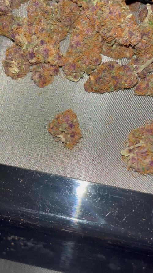 3.Fast Buds Apricot/Purple Lemonade Auto