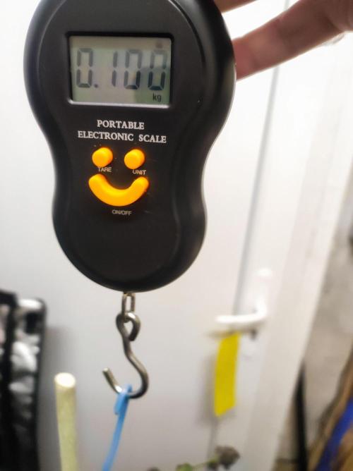 Cino's mixed auto garden. Week 12 - 2026/01/26: dry BPP