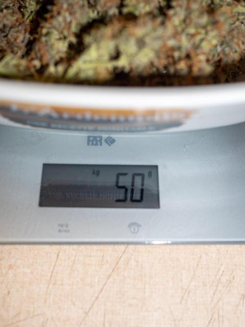 Cino's mixed auto garden. Week 14 - 2026/02/06: dry buds weight