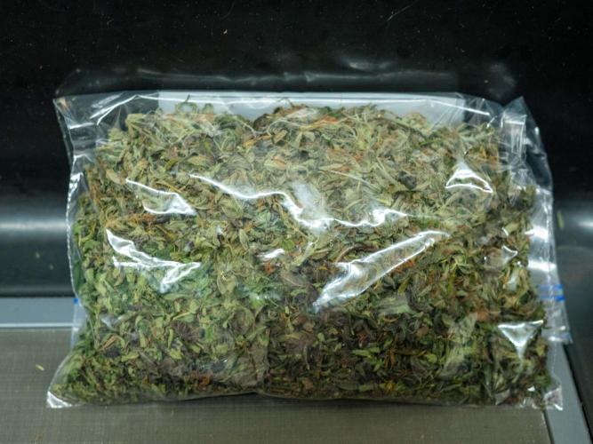 Cino's mixed auto garden. Week 14 - 2026/02/06: for ice-o-lator