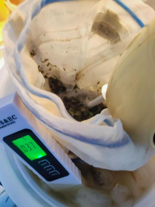 Cino's mixed auto garden. Week 14 - 2026/02/07: electric mixer