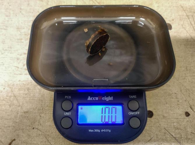 Cino's mixed auto garden. Week 14 - 2026/02/10: done...