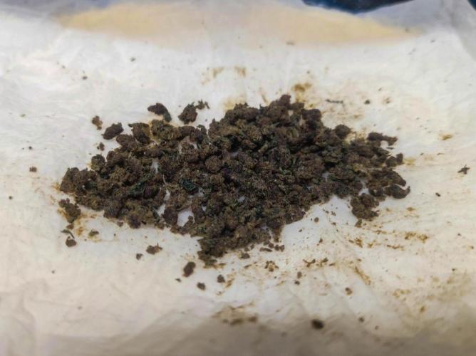 Ayahuasca Purple 3rd and final run. Week 16 - 2026/09/12: dried ice hash