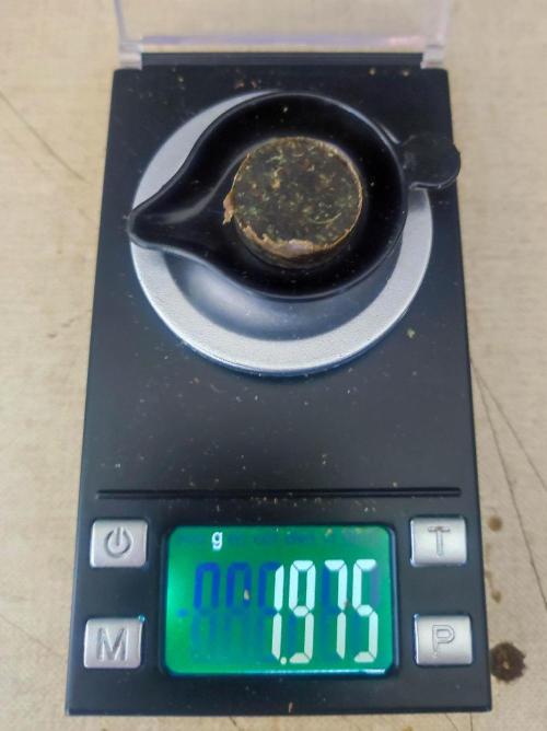Ayahuasca Purple 3rd and final run. Week 16 - 2026/09/12: harvest done!