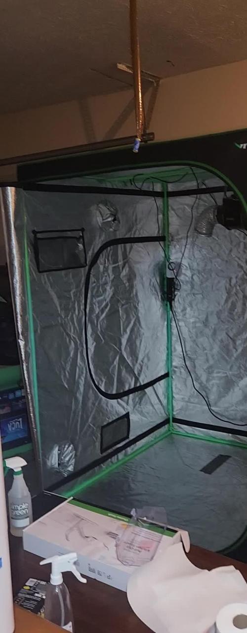 Mooning panties 💀