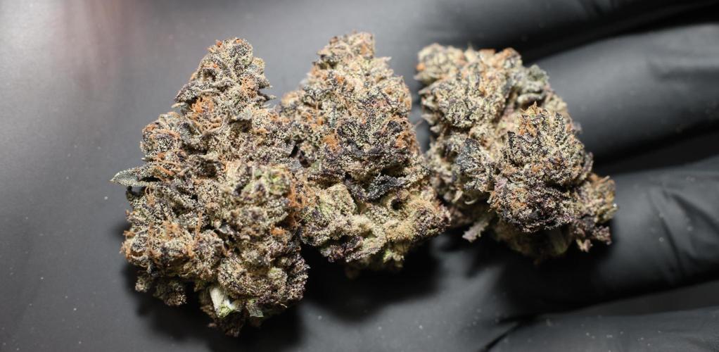 Menthol Runtz. Week 23