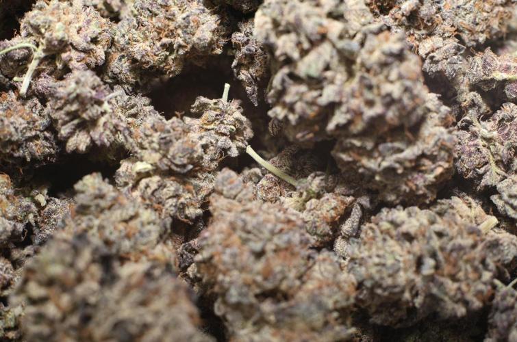 Menthol Runtz. Week 23