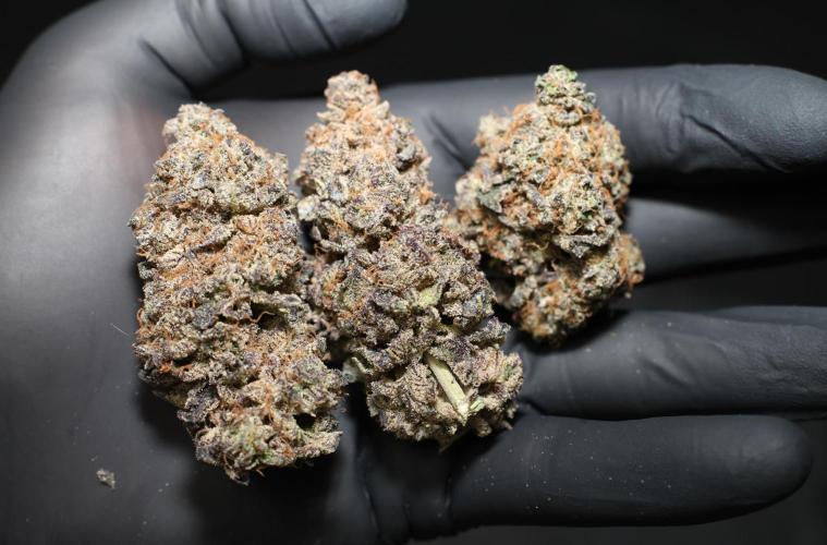 Menthol Runtz. Week 23