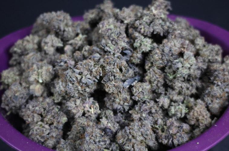 Menthol Runtz. Week 23