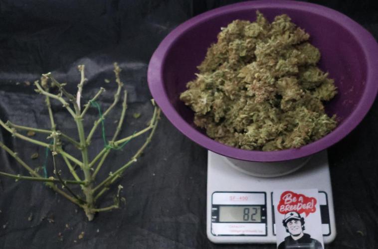 Diesel Fast F1 BX Regular. Week 16