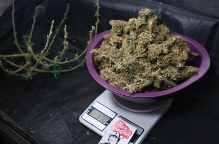 Diesel Fast F1 BX regular. Week 17