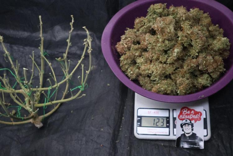 Diesel Fast F1 BX Regular. Week 17