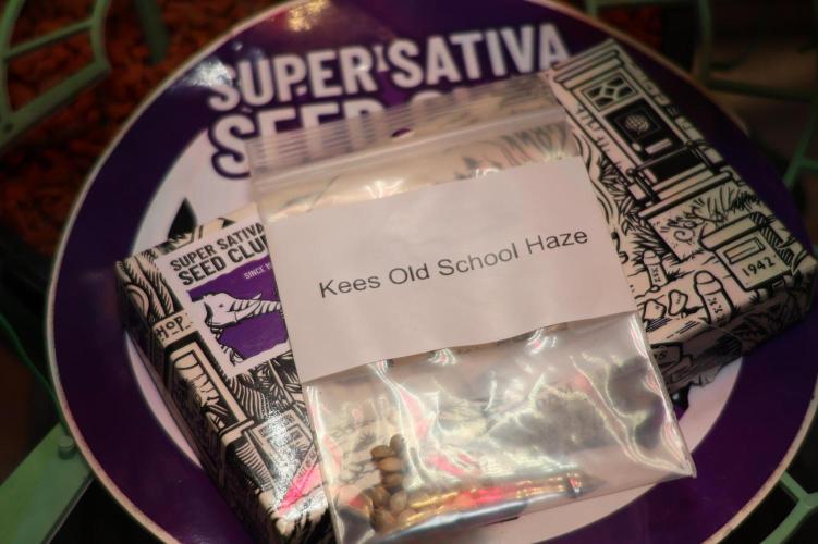 Kees Old School Haze Regular. Week 10