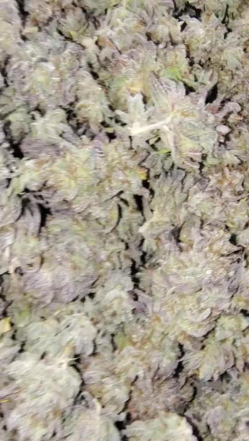 Blackberry Moonrocks