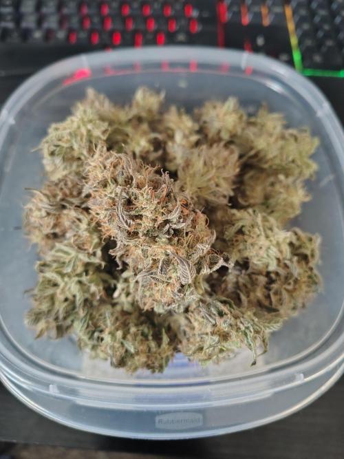 Face Fat (Run #2). Week 13