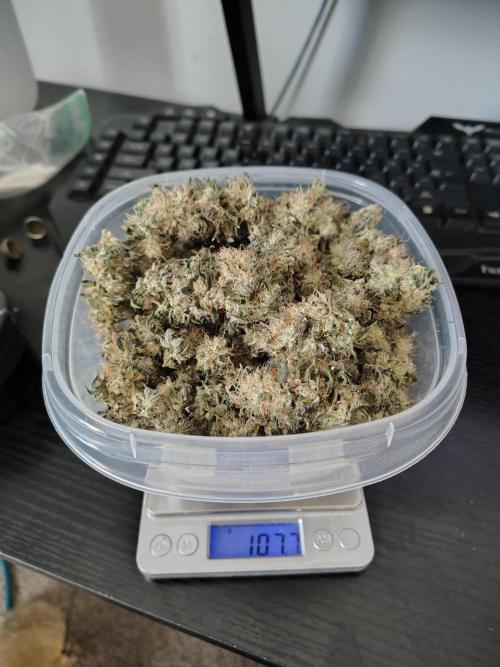 Blueberry Swirl. Week 19