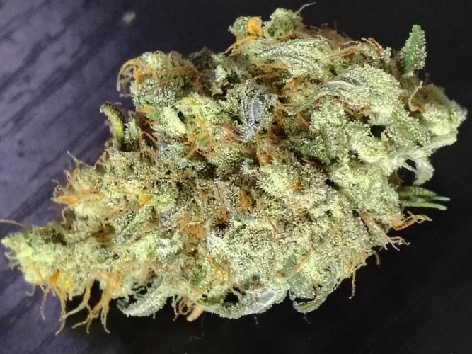 Sunset Sherbet. Week 13