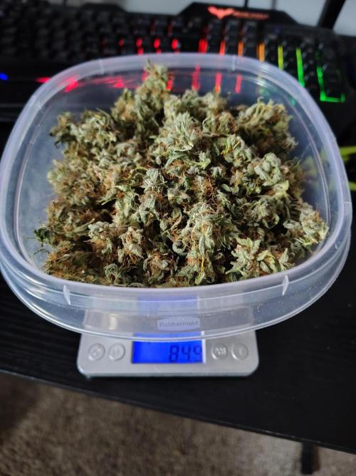 Alien Moonrocks. Week 19