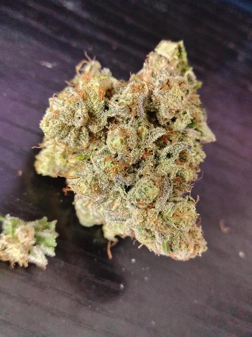 Mango Sherb S1. Week 13