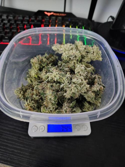 RS11 (Rainbow Sherbet). Week 13