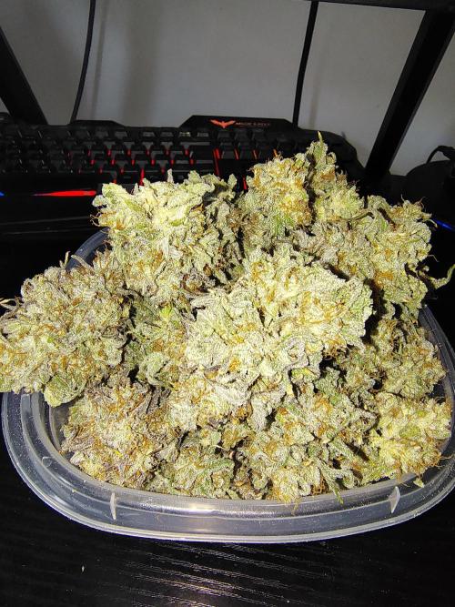 Sewer Fruit. Week 14