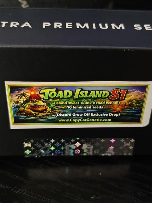 Toad island S1. Week 0