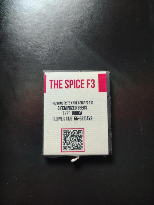 The Spice F3. Week 0