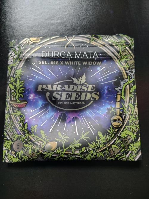 Durga Mata. Week 0