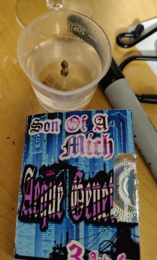 Son of a Mich. Week 0