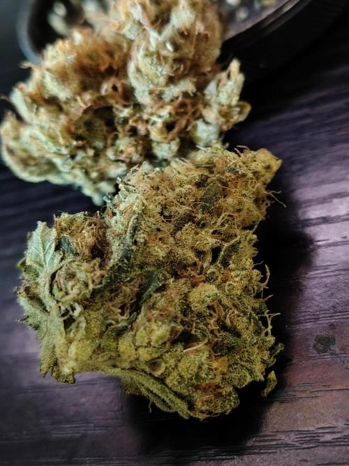 Sunset Sherbet Go Fast. Week 13 - Cured flower