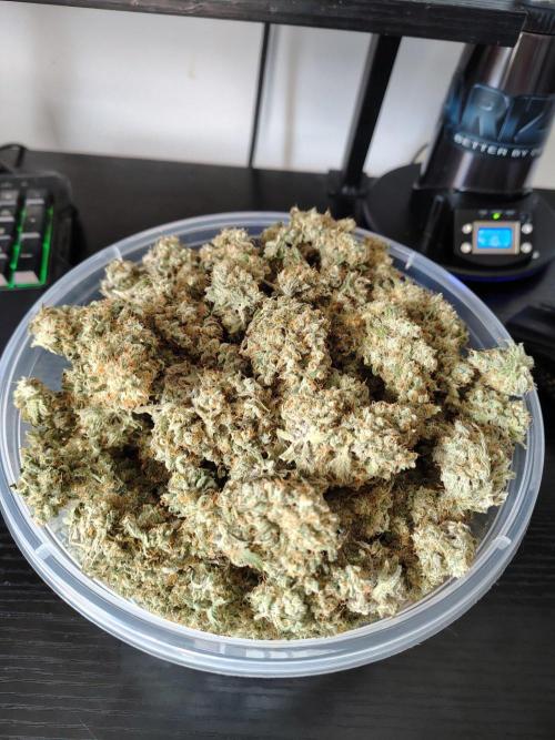 Fruity Pebbles OG. Week 15