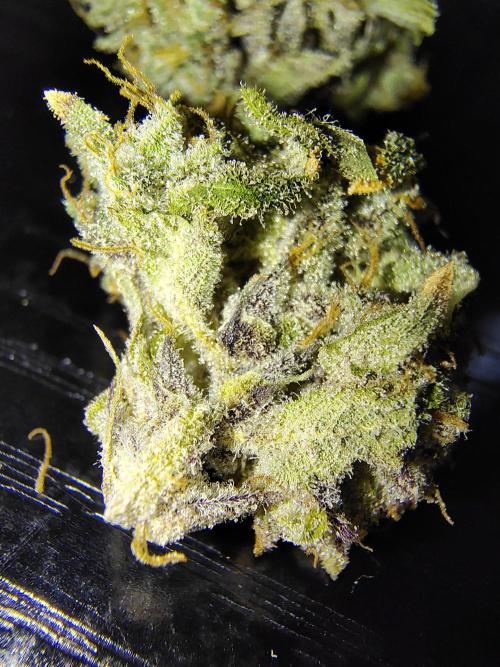 Fruity Pebbles OG. Week 15