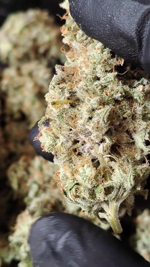 Fruity Pebbles OG