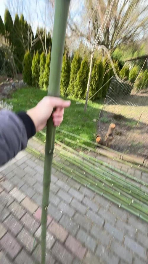 Outdoor trees