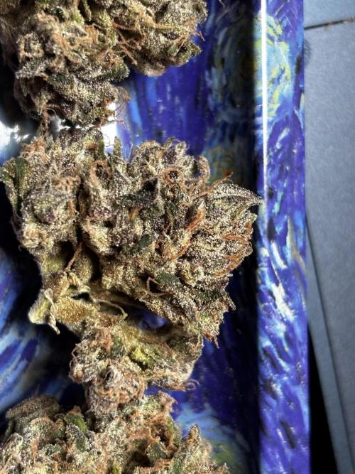 Sour Diesel mainline. Week 21 - frosty