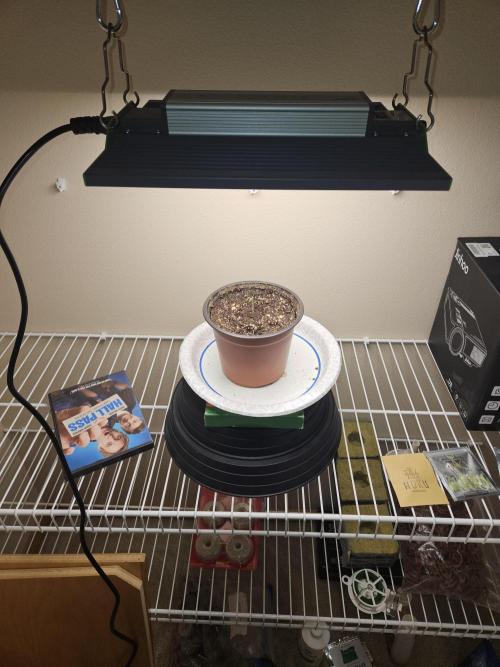 Jokerz OG. Week 1