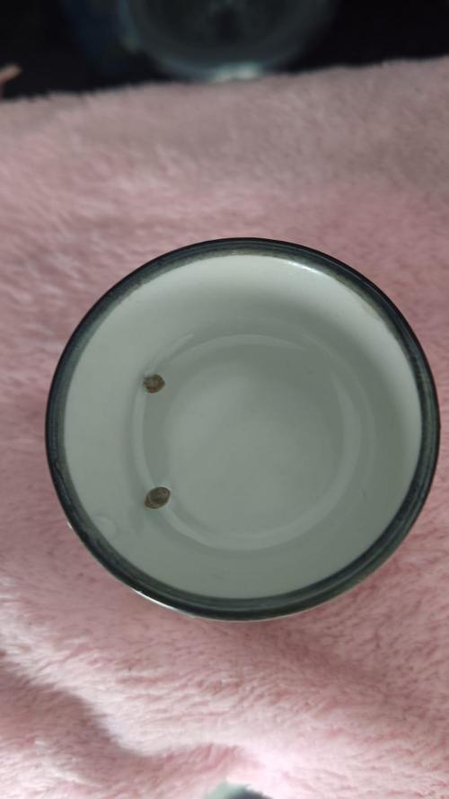 CHIMERA #3 S1. Week 0 - Se inicia la germinacion 11/01