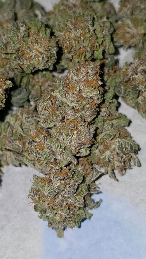 Bubba kush - Amnesia. Week 16