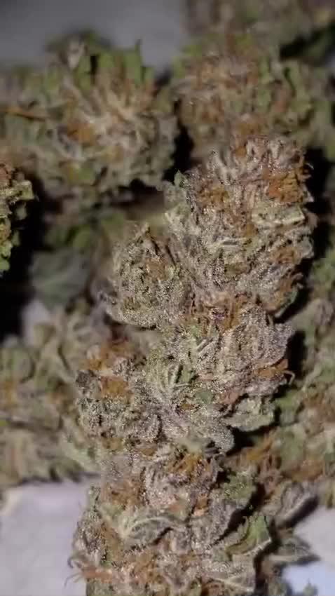 Bubba kush - Amnesia