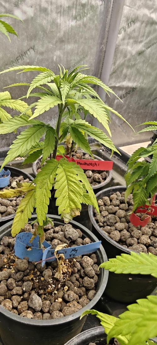 Where's My Bike V2 - Karma Genetics. Week 5