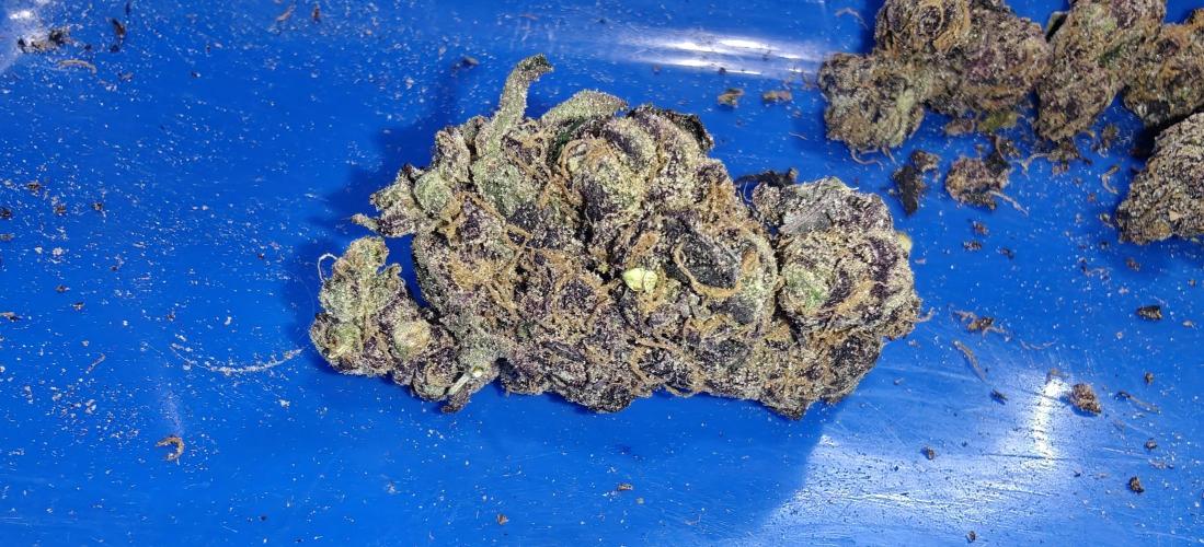 Lava Cake. Week 15