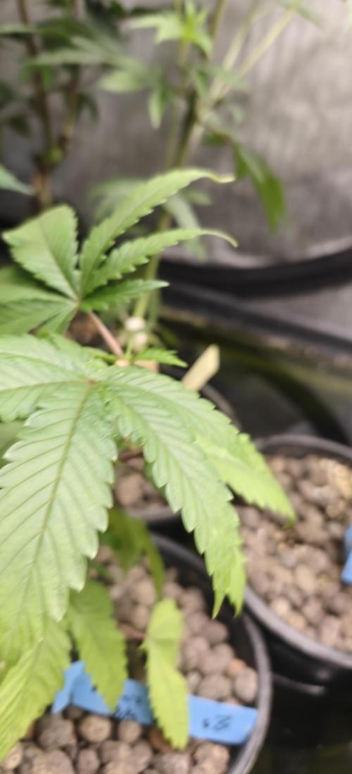 Where's My Bike V2 - Karma Genetics. Week 6