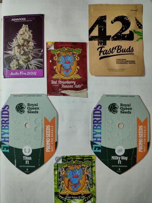 DIARY#8 - AUTOS - 2025. Week 0