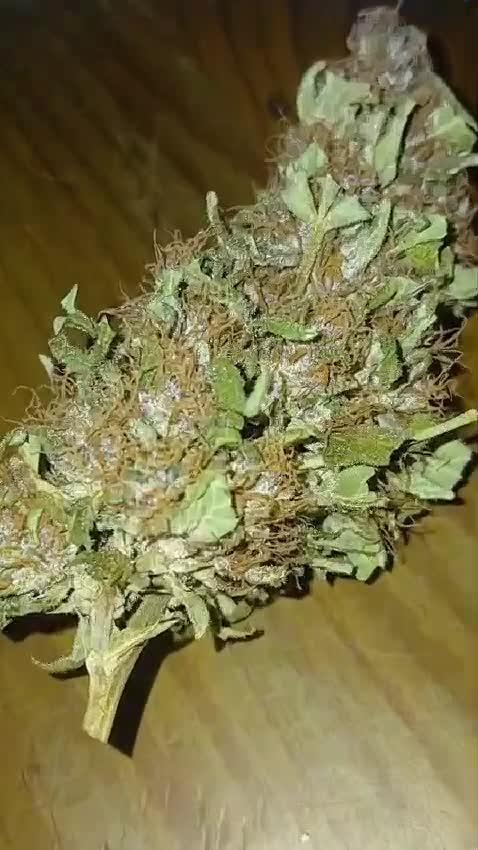 Blueberry