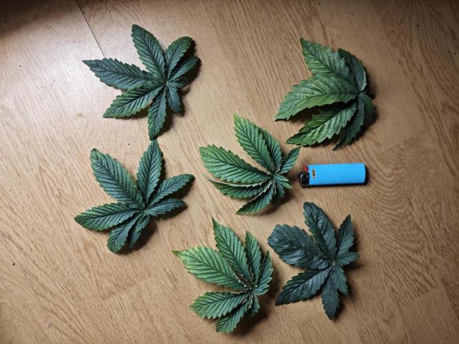 Just For Fun. Week 4